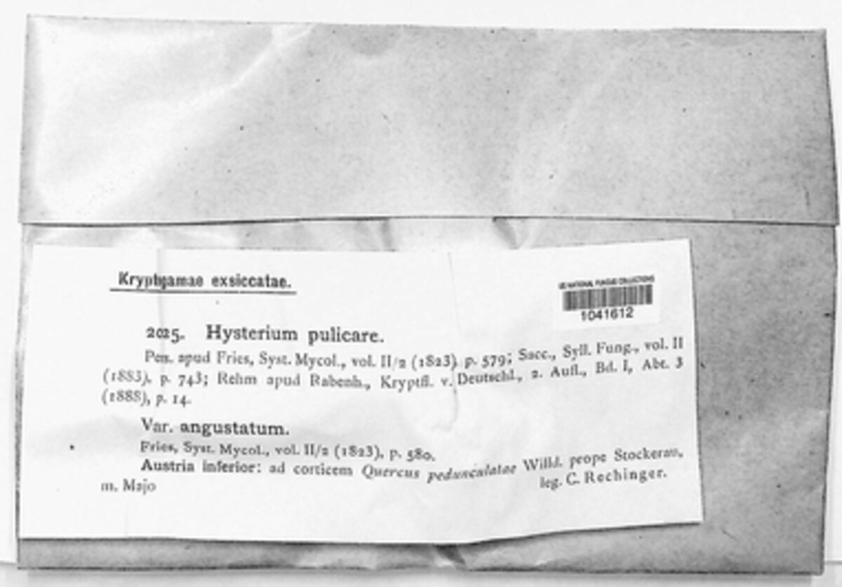 Hysterium image